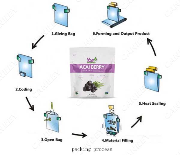 premade pouch filling process