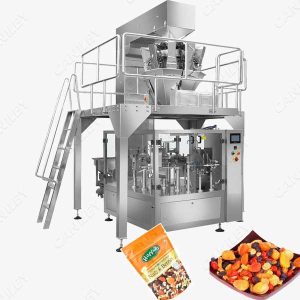 dry fruit packing machine