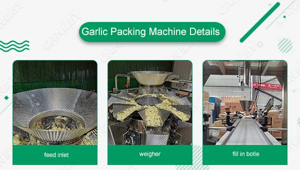 Garlic Packing Machine Details