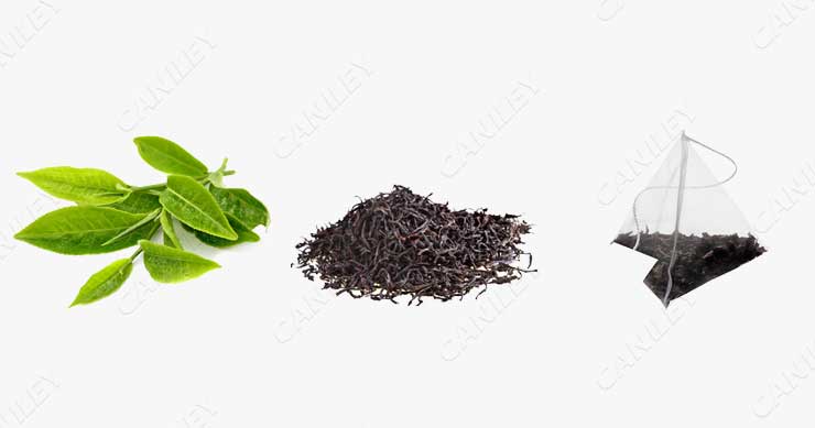 tea processing and packaging