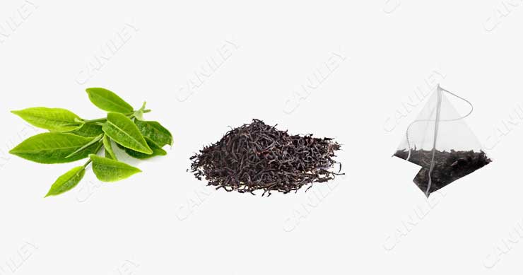 Tea Processing And Packaging