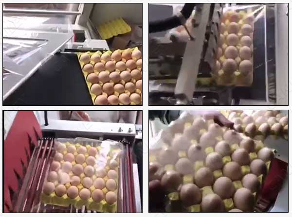 egg shrink wrapper