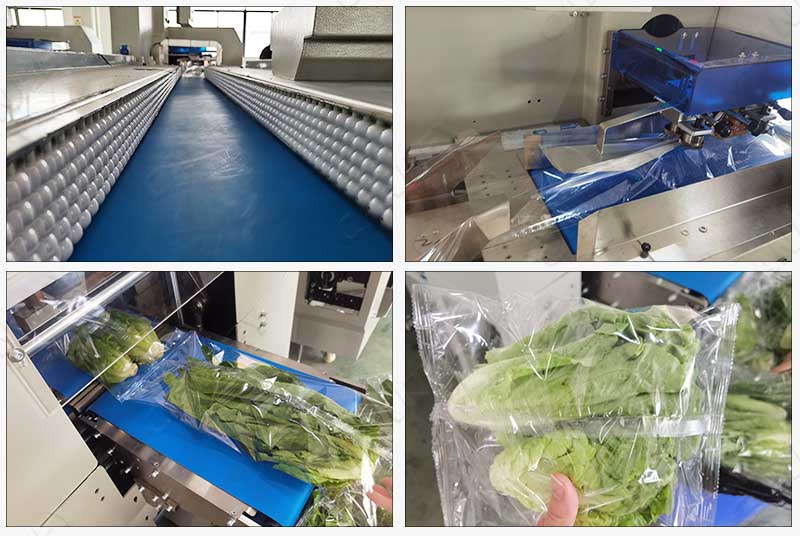 vegetable packing equipment
