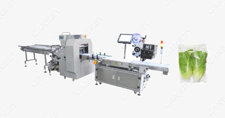 leaf vegetable packing machine price